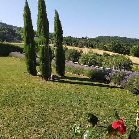 Suite Luna Bianca Assisi Exterior foto