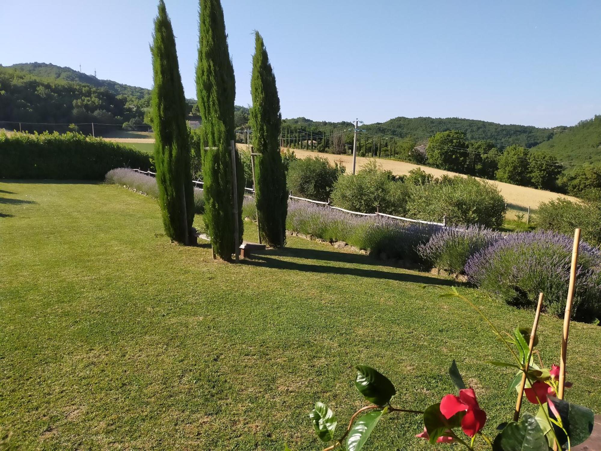 Suite Luna Bianca Assisi Exterior foto
